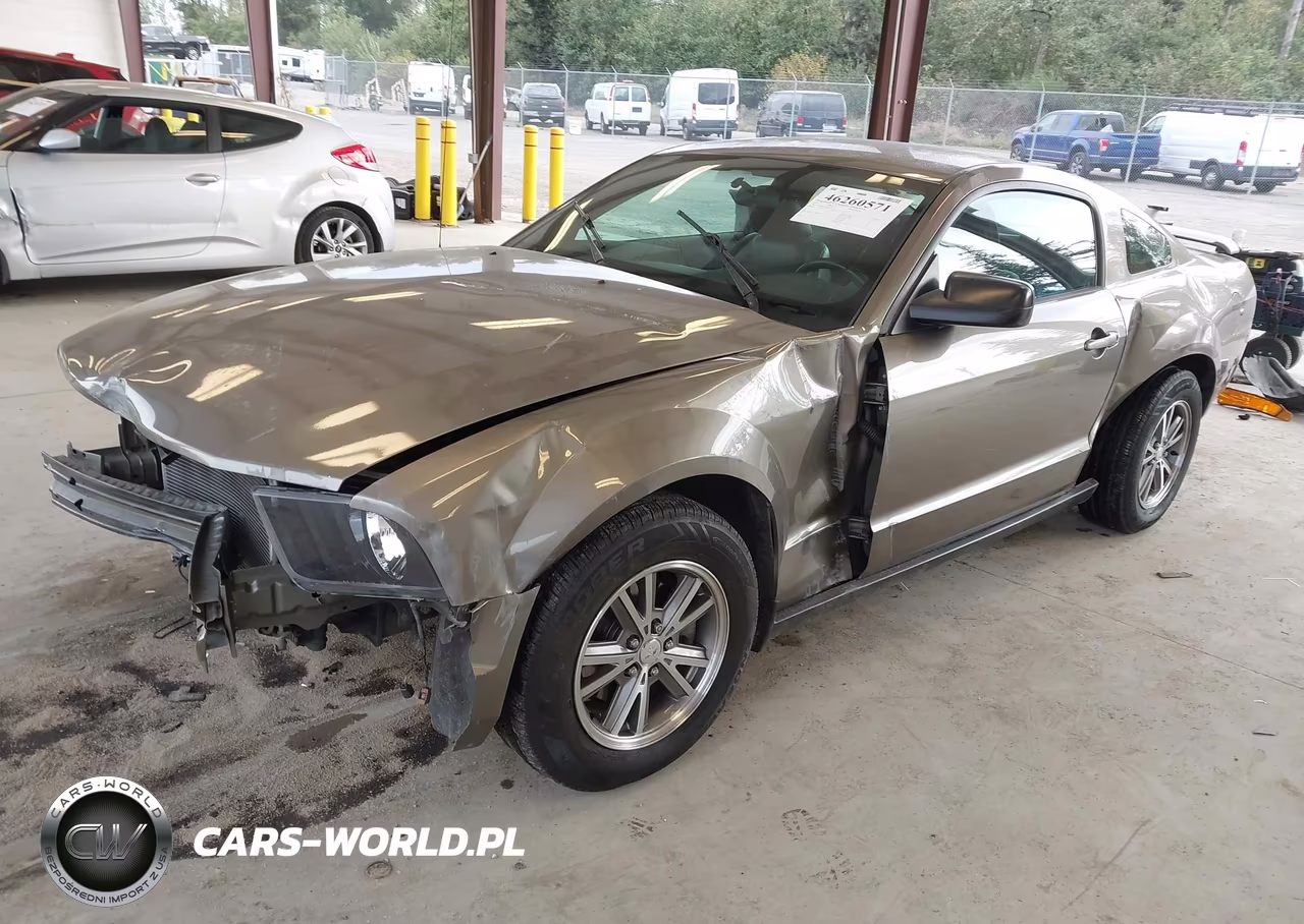 2005 Ford Mustang V6 Deluxe-V6 Premium VIN:1ZVFT80NX55164116 - 2
