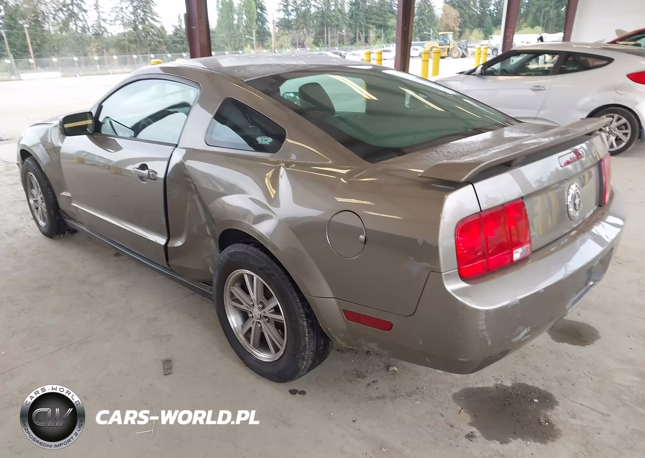 2005 Ford Mustang V6 Deluxe-V6 Premium VIN:1ZVFT80NX55164116 - 3