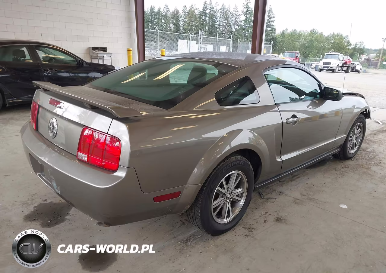 2005 Ford Mustang V6 Deluxe-V6 Premium VIN:1ZVFT80NX55164116 - 4