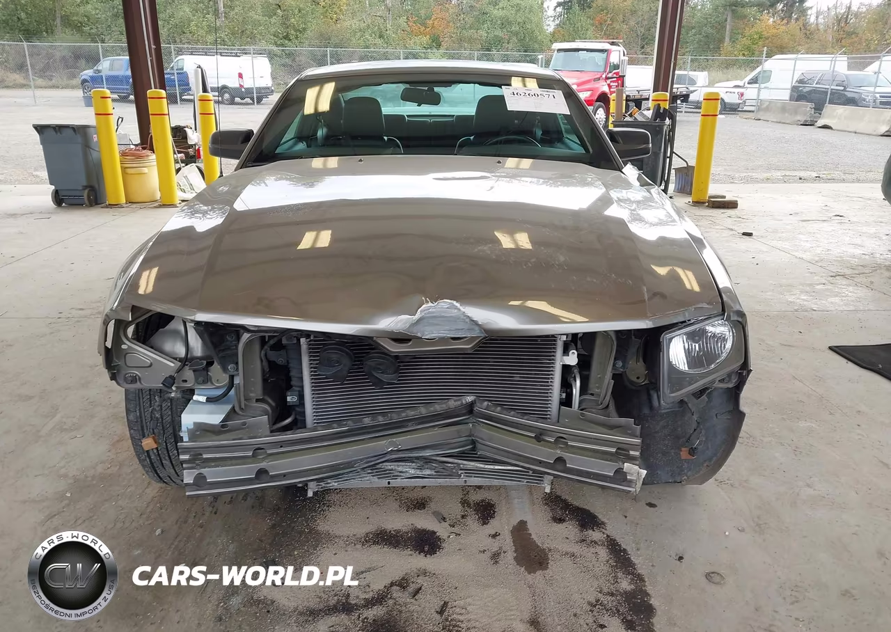 2005 Ford Mustang V6 Deluxe-V6 Premium VIN:1ZVFT80NX55164116 - 6