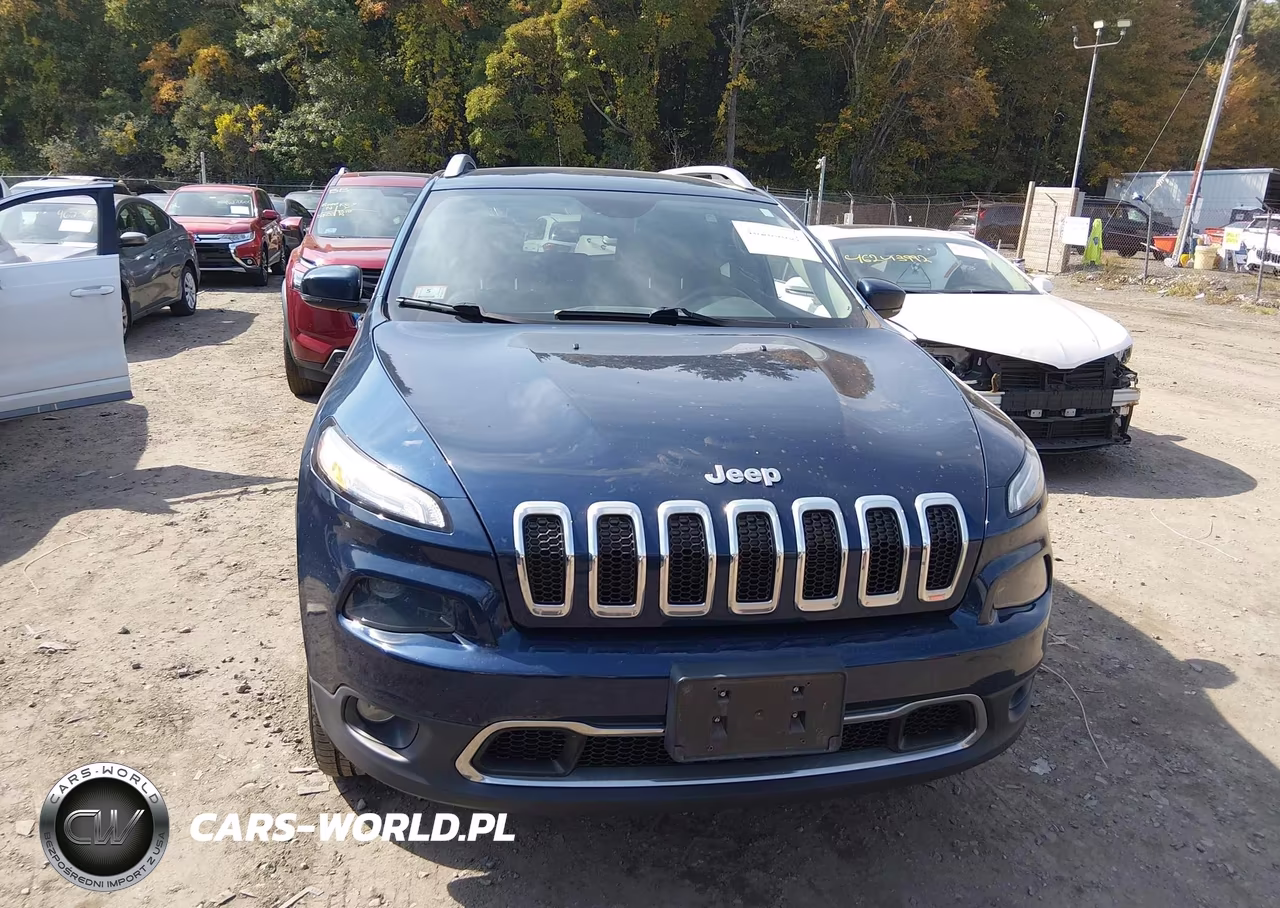 2018 Jeep Cherokee Limited 4X4 VIN:1C4PJMDB1JD559551 - 12