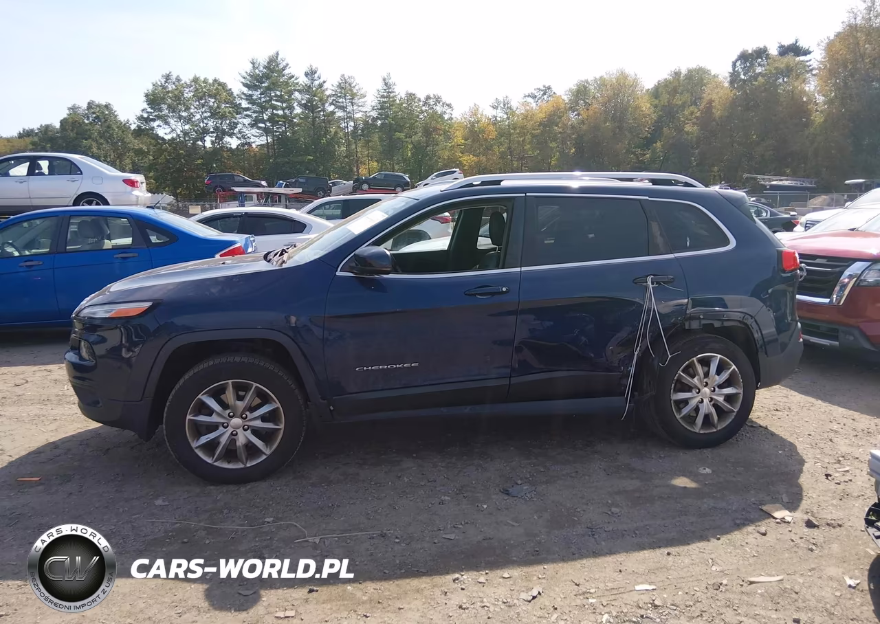 2018 Jeep Cherokee Limited 4X4 VIN:1C4PJMDB1JD559551 - 14