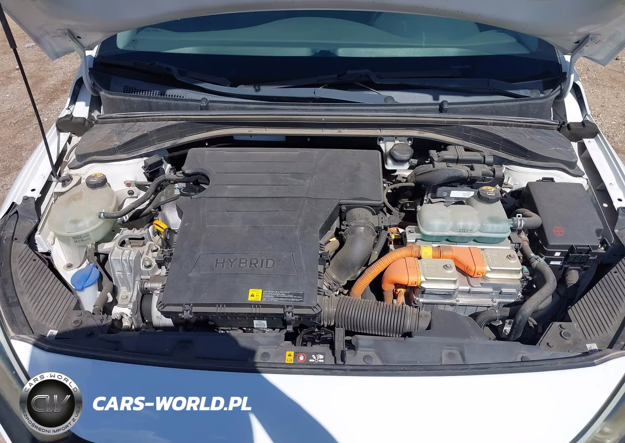2019 Hyundai Ioniq Hybrid Blue VIN:KMHC65LC3KU122163 - 10