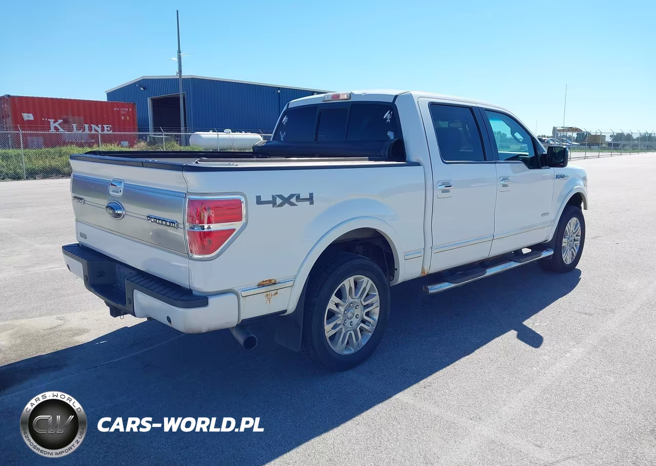 2012 Ford F-150 Platinum VIN:1FTFW1ET0CFA13348 - 4