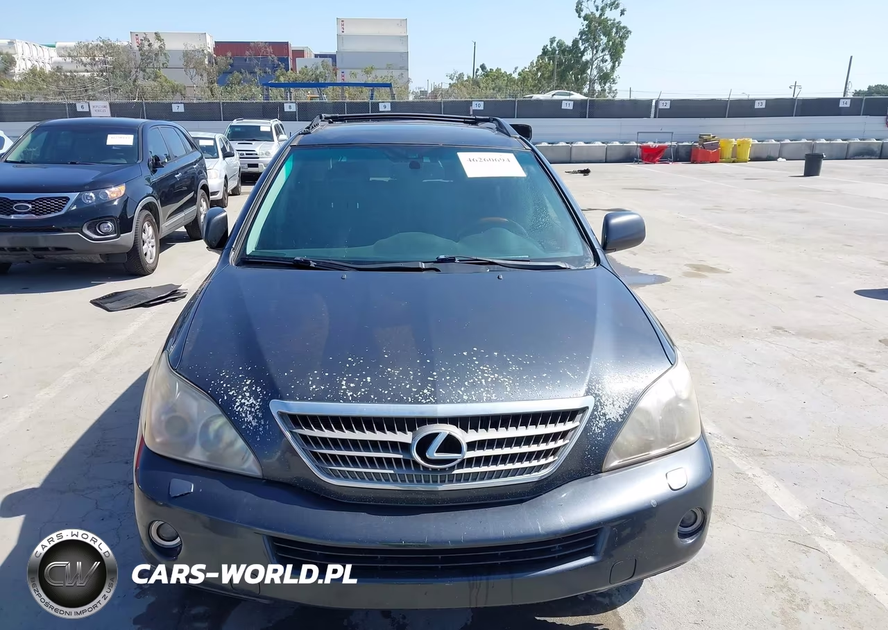 2008 Lexus Rx 400H VIN:JTJHW31U482042902 - 6