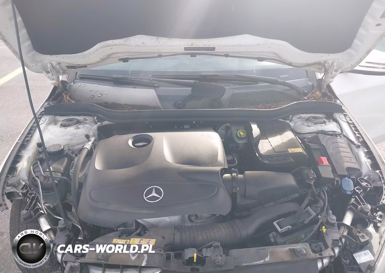 2014 Mercedes-Benz Cla 250 VIN:WDDSJ4EB7EN156012 - 10