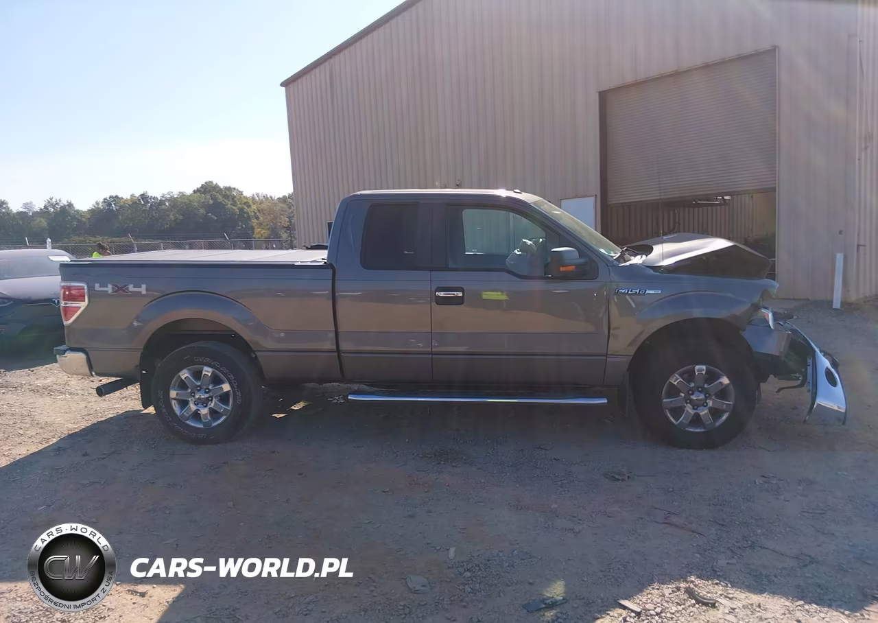 2014 Ford F-150 Xlt VIN:1FTFX1EF3EFB75291 - 13