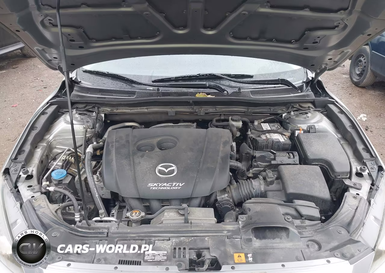 2016 Mazda Mazda3 I Sport VIN:JM1BM1U71G1313587 - 10