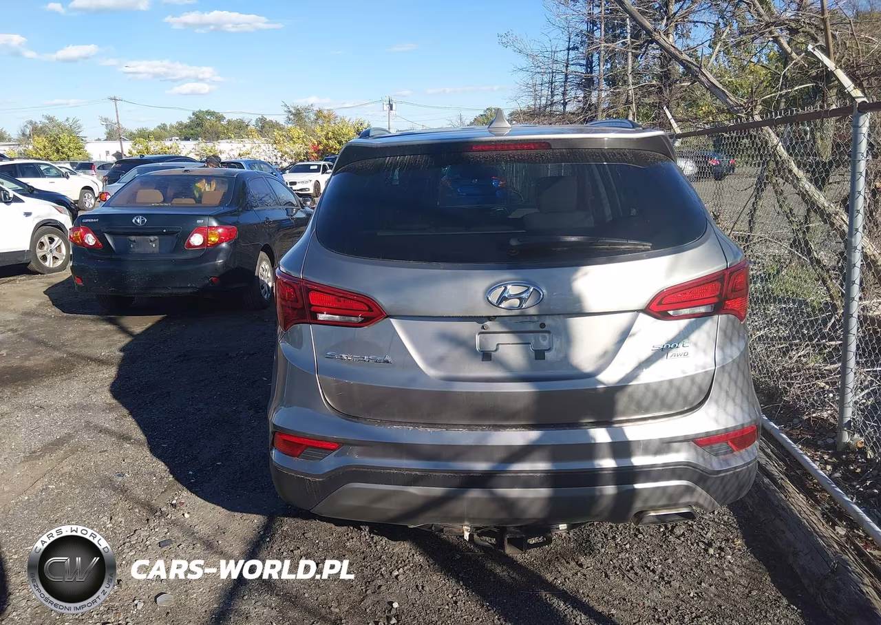 2017 Hyundai Santa Fe Sport 2.4L VIN:5NMZUDLBXHH035432 - 16