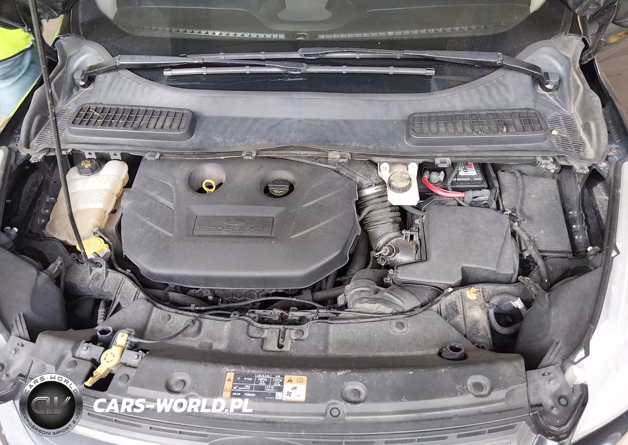 2014 Ford Escape Se VIN:1FMCU0G92EUC52060 - 10