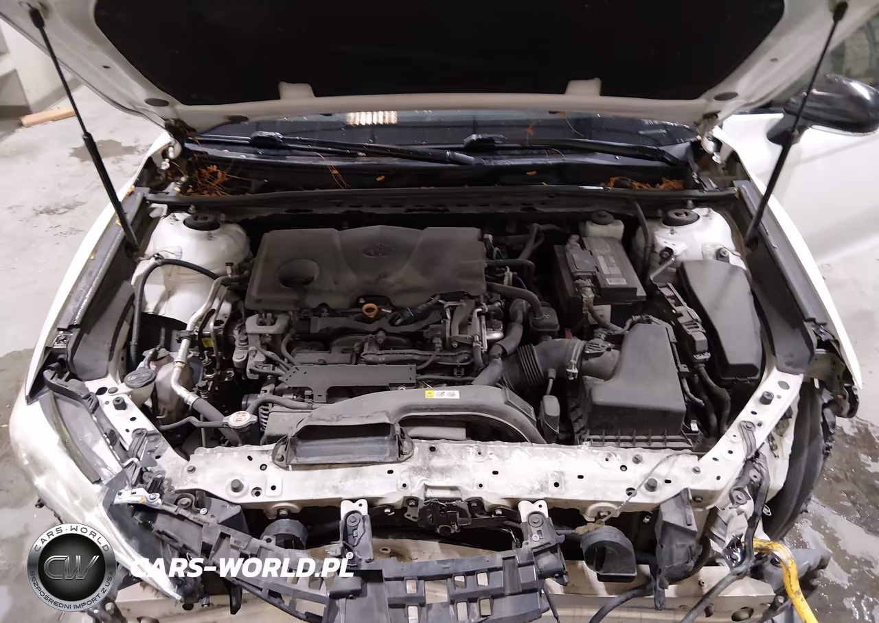 2019 Toyota Camry Xse VIN:4T1B61HK6KU295597 - 10