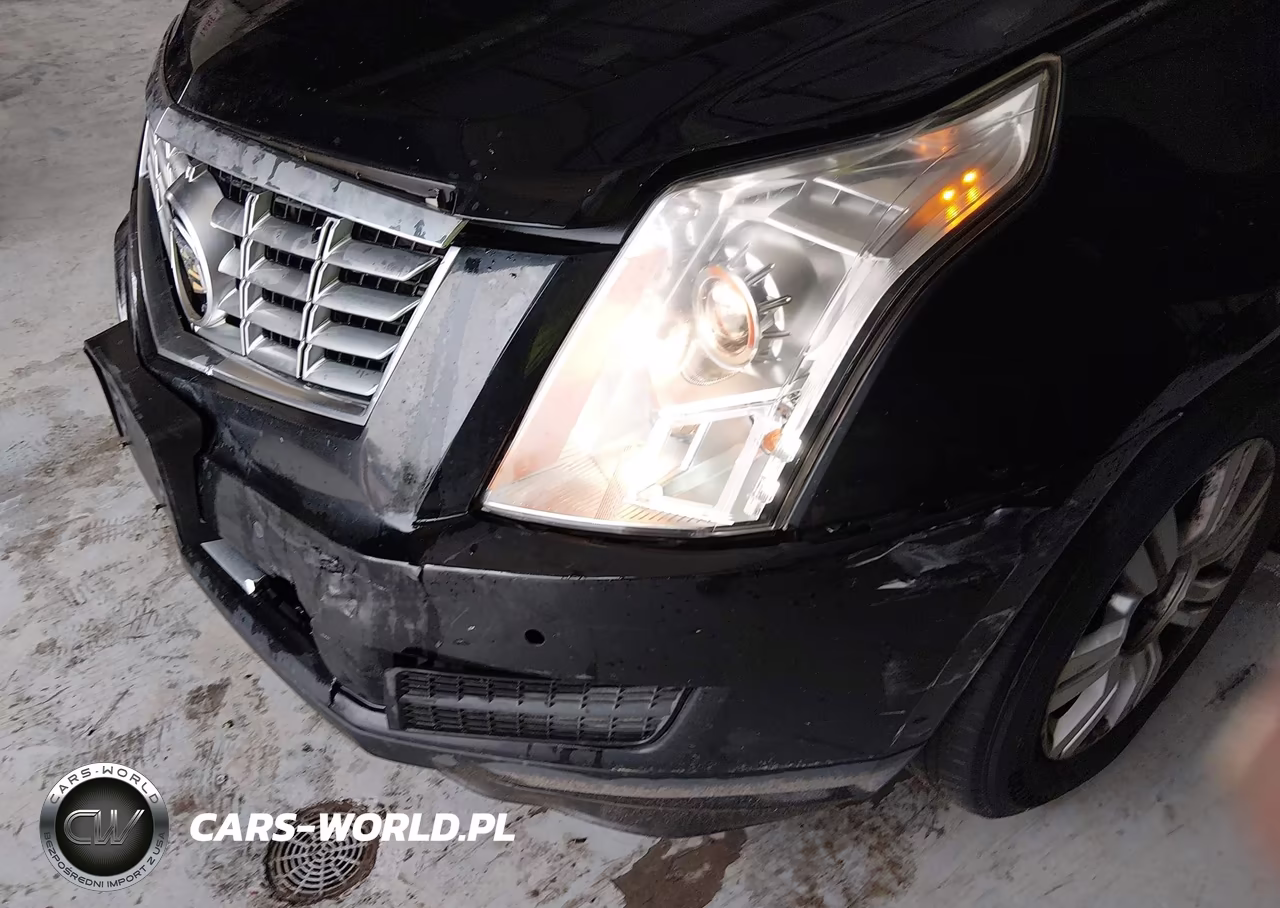 2013 Cadillac Srx Luxury Collection VIN:3GYFNCE36DS649584 - 12