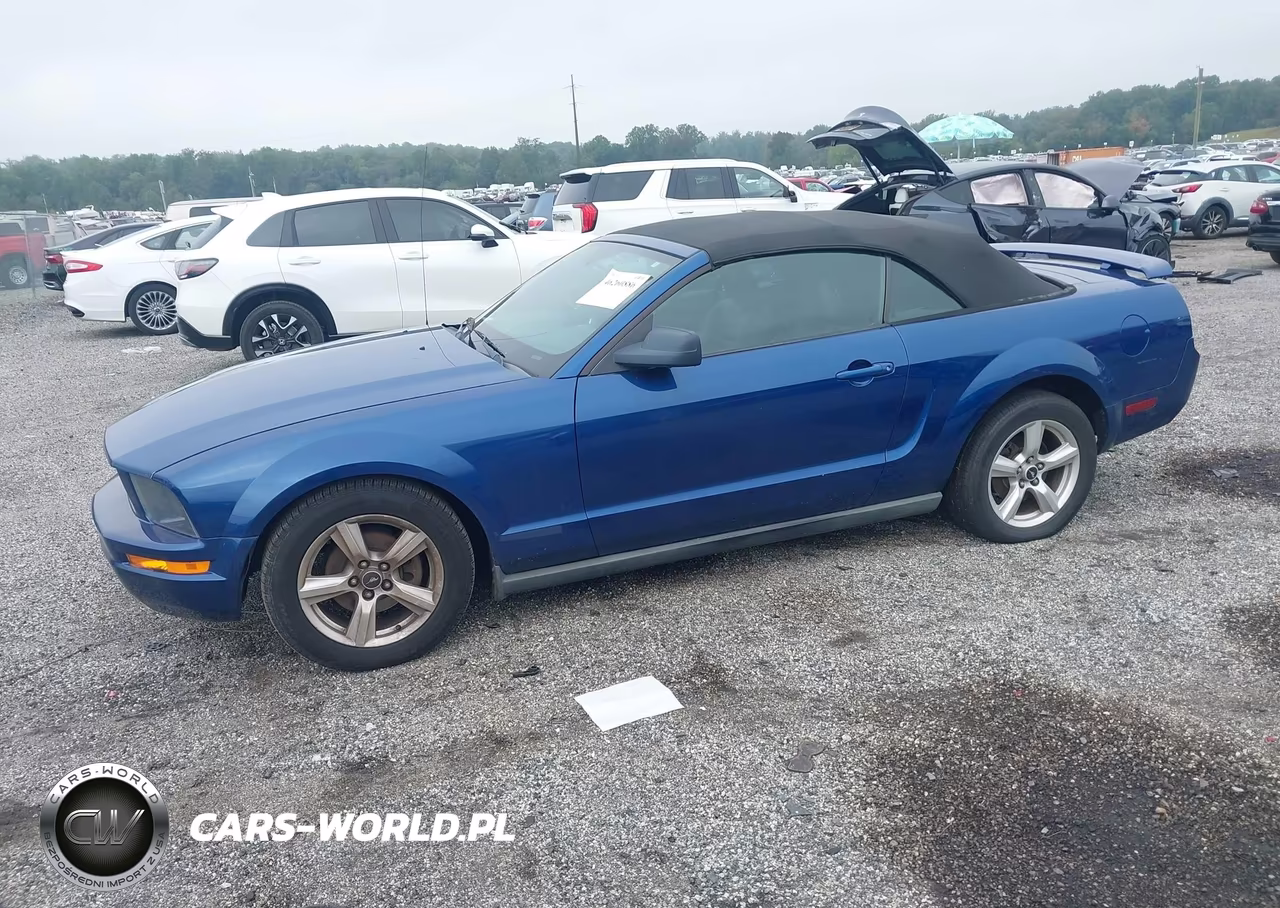 2008 Ford Mustang V6 Deluxe-V6 Premium VIN:1ZVHT84N385201613 - 2