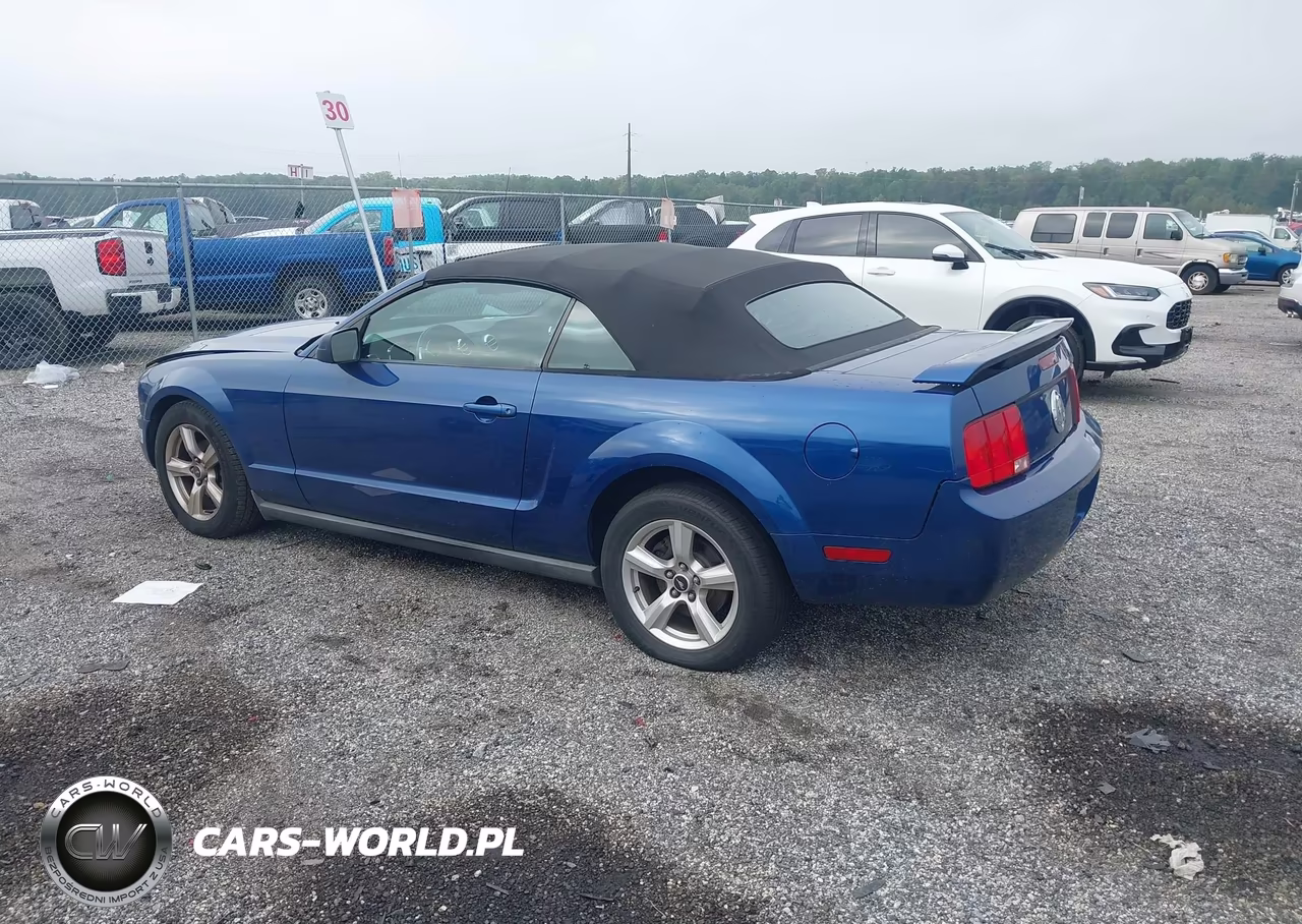 2008 Ford Mustang V6 Deluxe-V6 Premium VIN:1ZVHT84N385201613 - 3