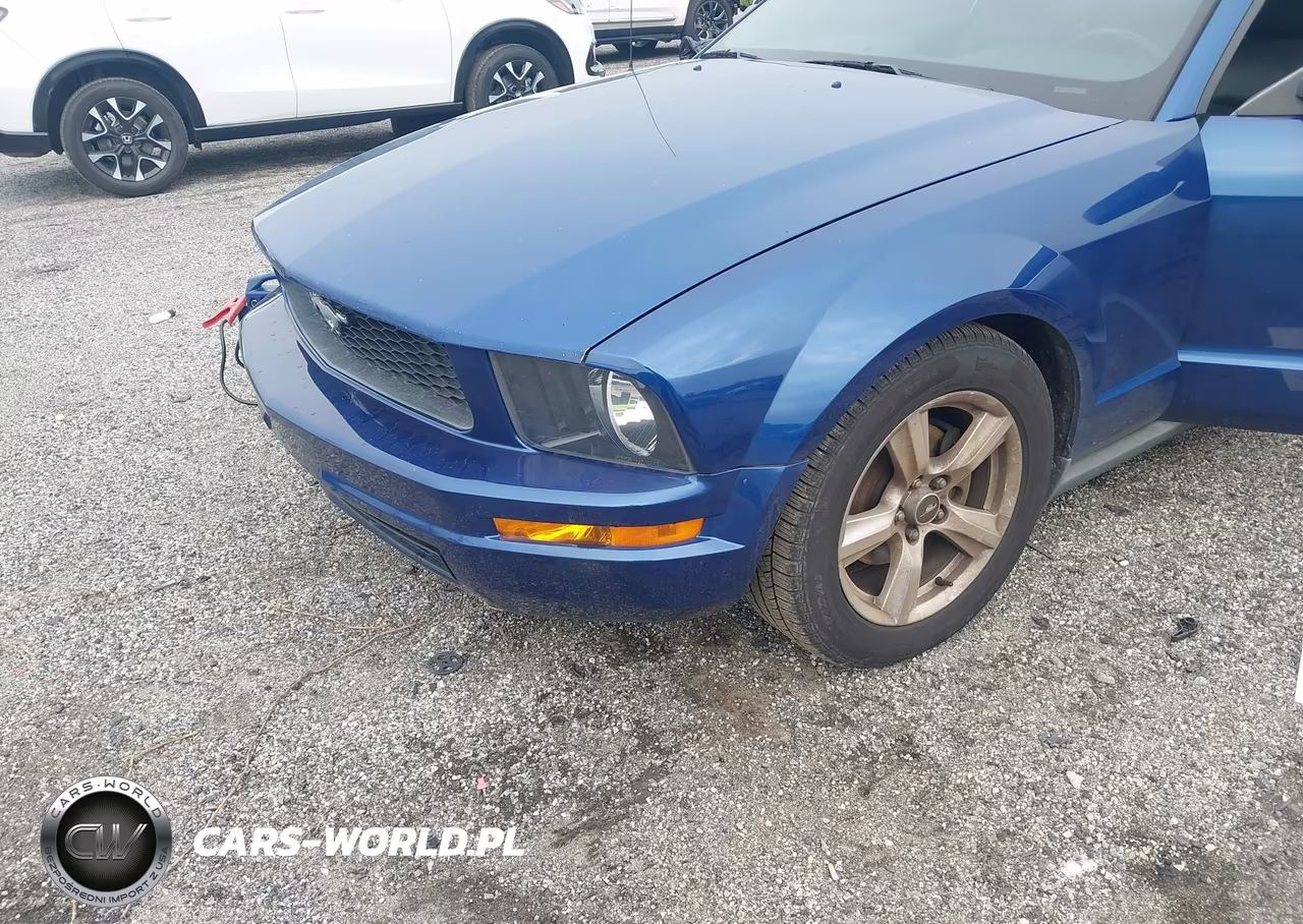 2008 Ford Mustang V6 Deluxe-V6 Premium VIN:1ZVHT84N385201613 - 6