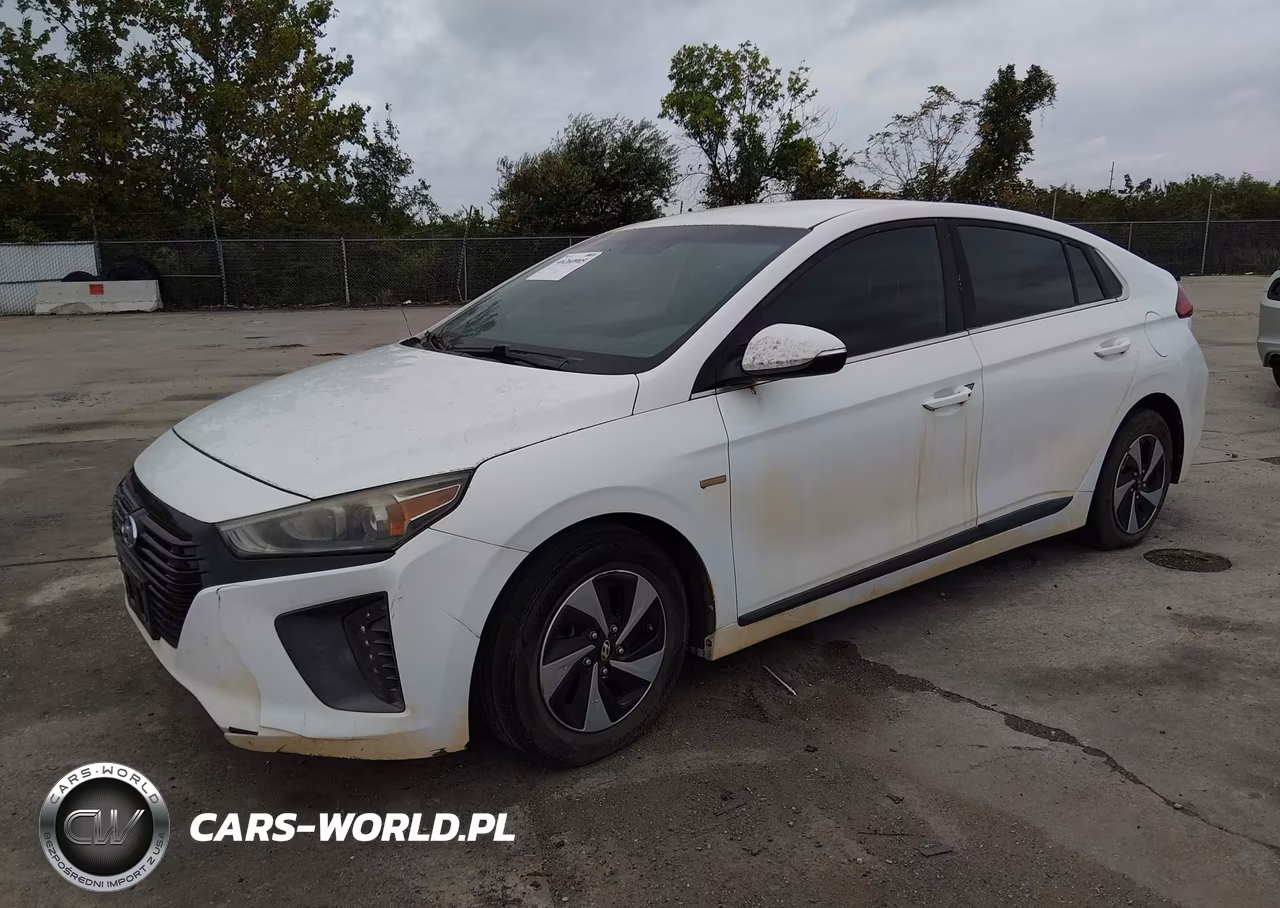 2017 Hyundai Ioniq Hybrid Sel VIN:KMHC75LC5HU042417 - 2