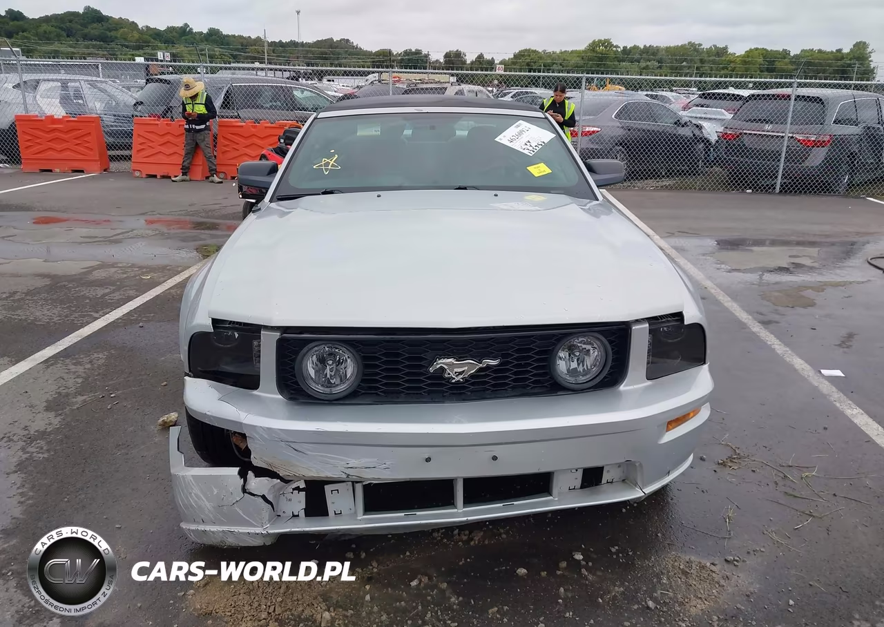 2006 Ford Mustang Gt VIN:1ZVHT85H065263041 - 11