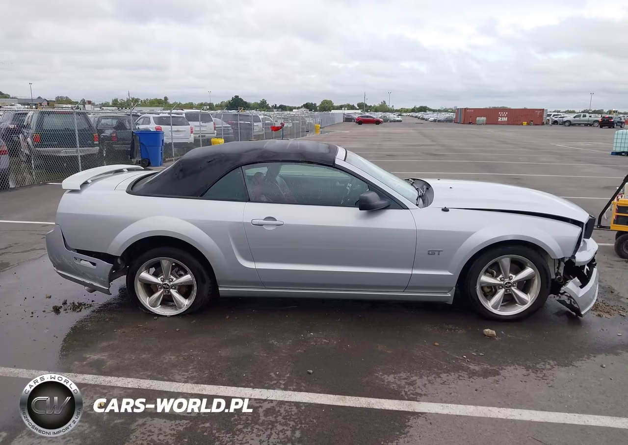2006 Ford Mustang Gt VIN:1ZVHT85H065263041 - 12