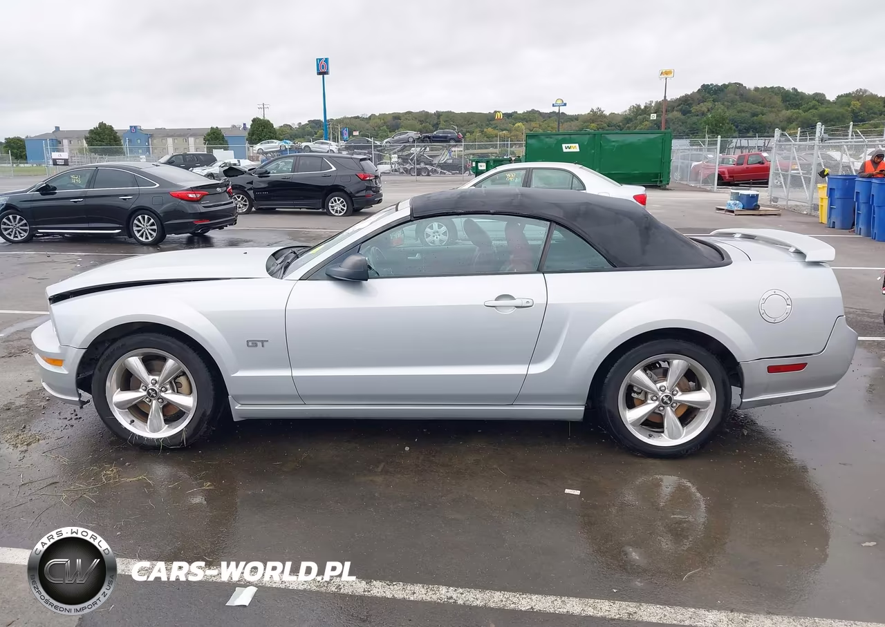 2006 Ford Mustang Gt VIN:1ZVHT85H065263041 - 13