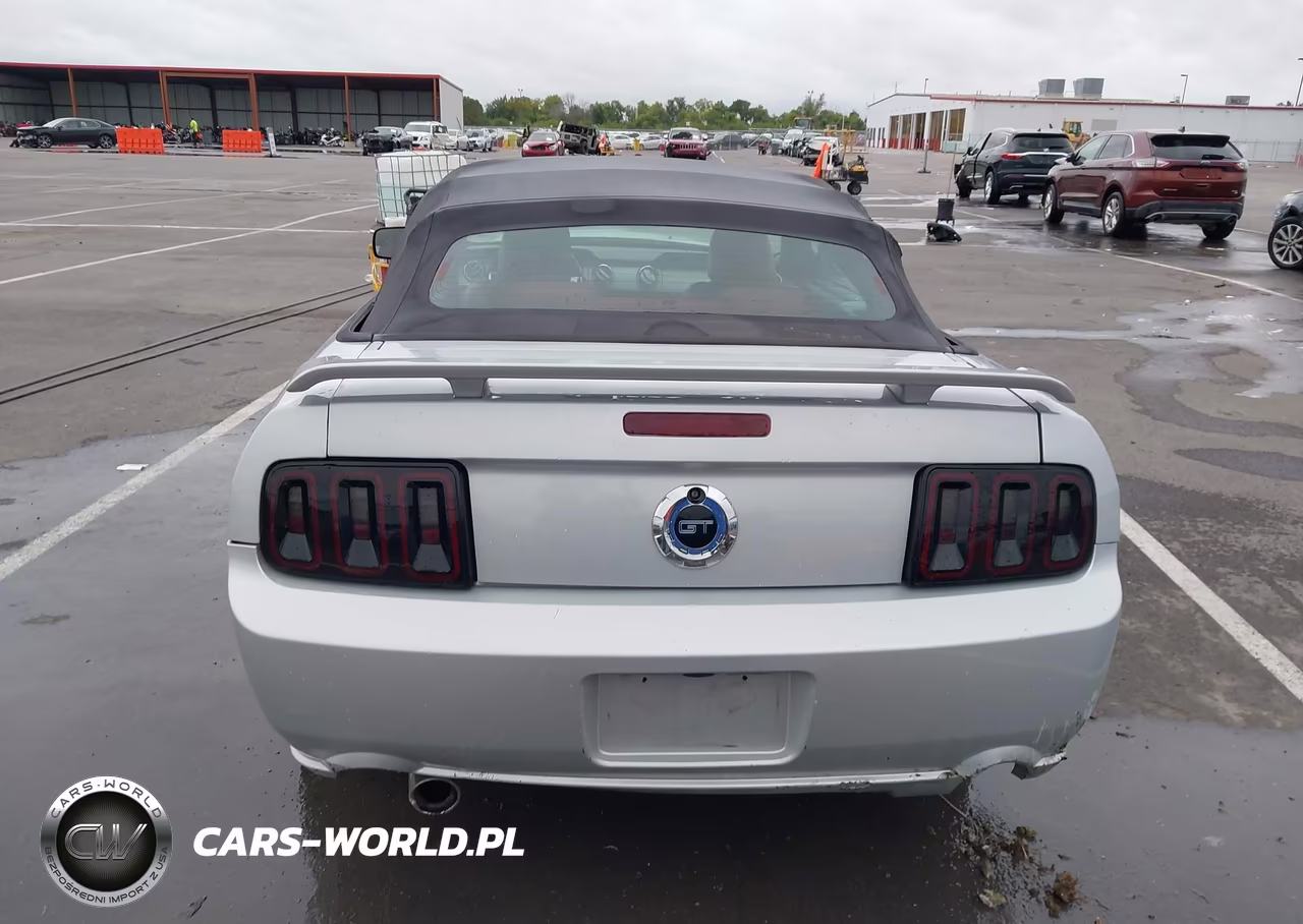 2006 Ford Mustang Gt VIN:1ZVHT85H065263041 - 15