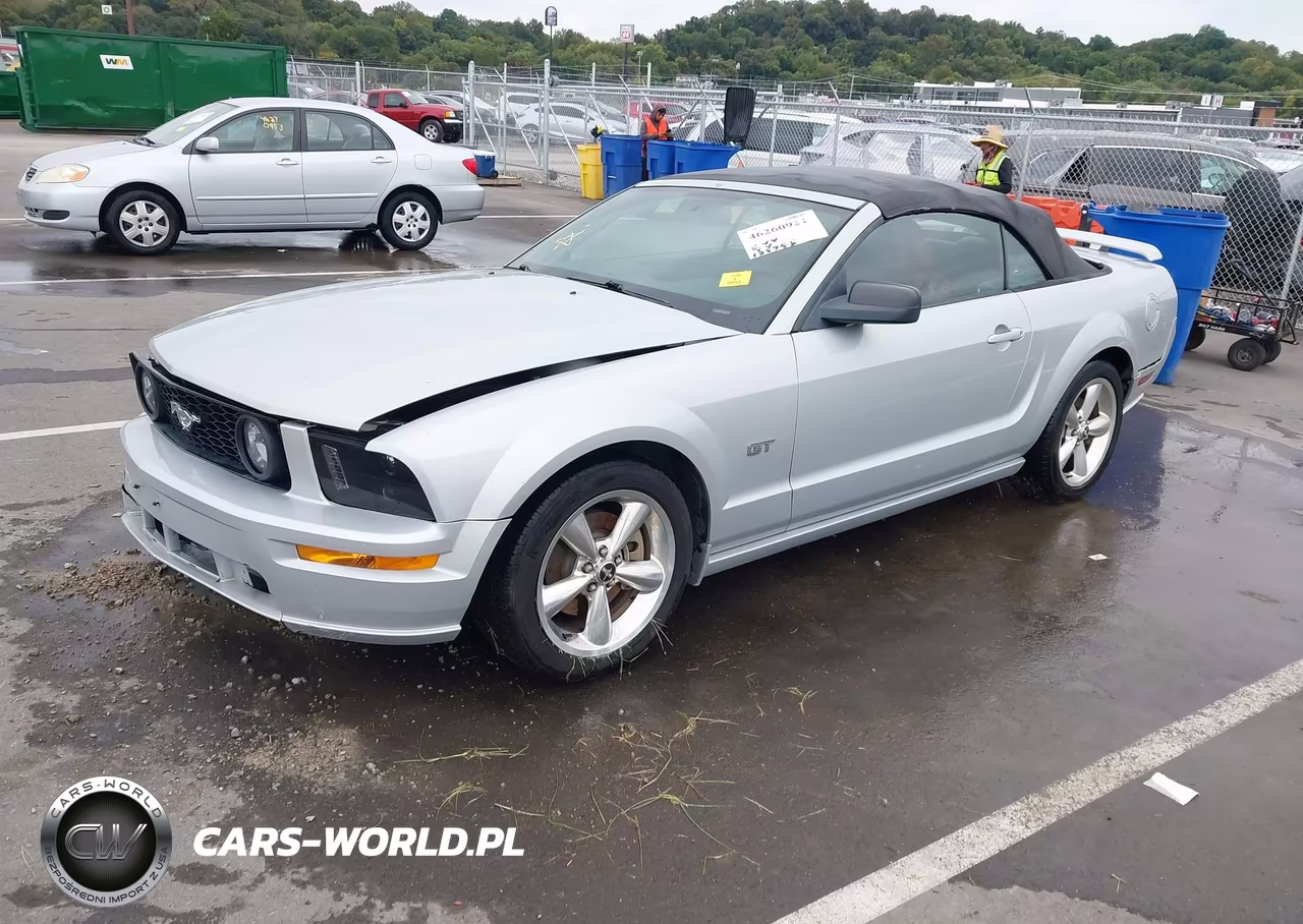2006 Ford Mustang Gt VIN:1ZVHT85H065263041 - 2