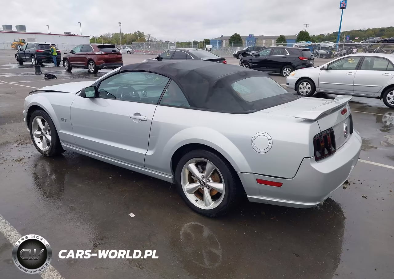 2006 Ford Mustang Gt VIN:1ZVHT85H065263041 - 3