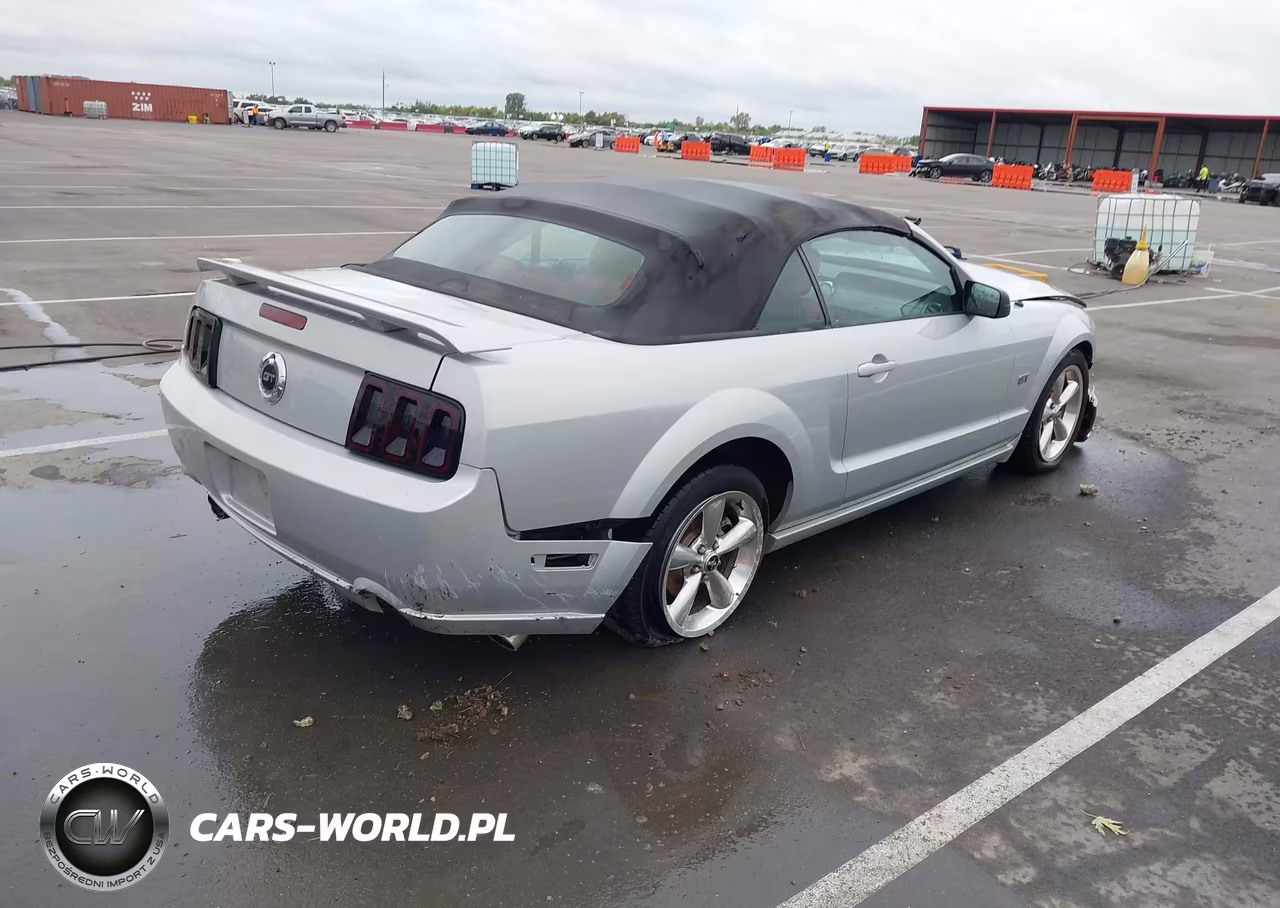 2006 Ford Mustang Gt VIN:1ZVHT85H065263041 - 4
