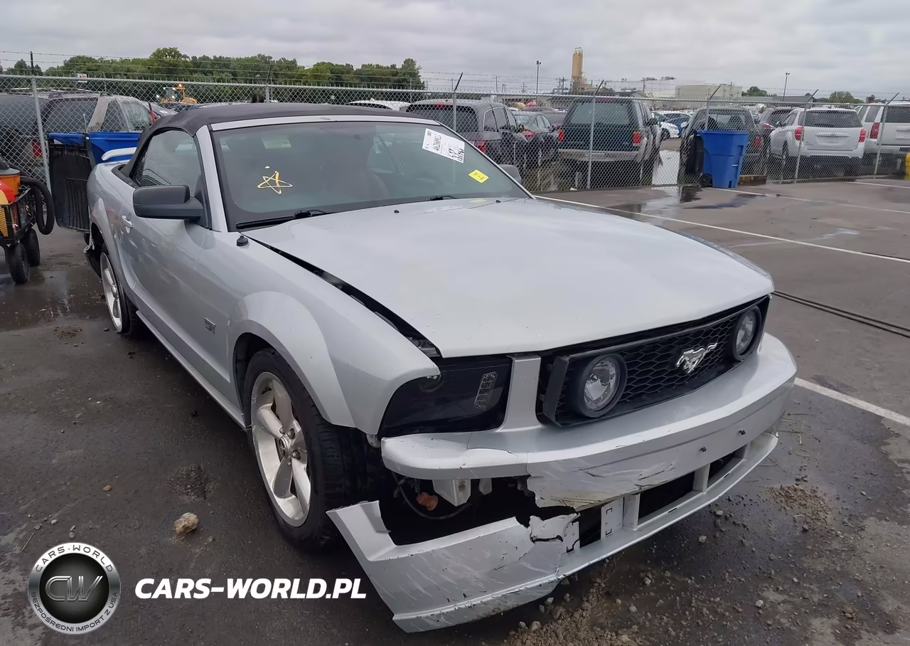 2006 Ford Mustang Gt VIN:1ZVHT85H065263041 - 6