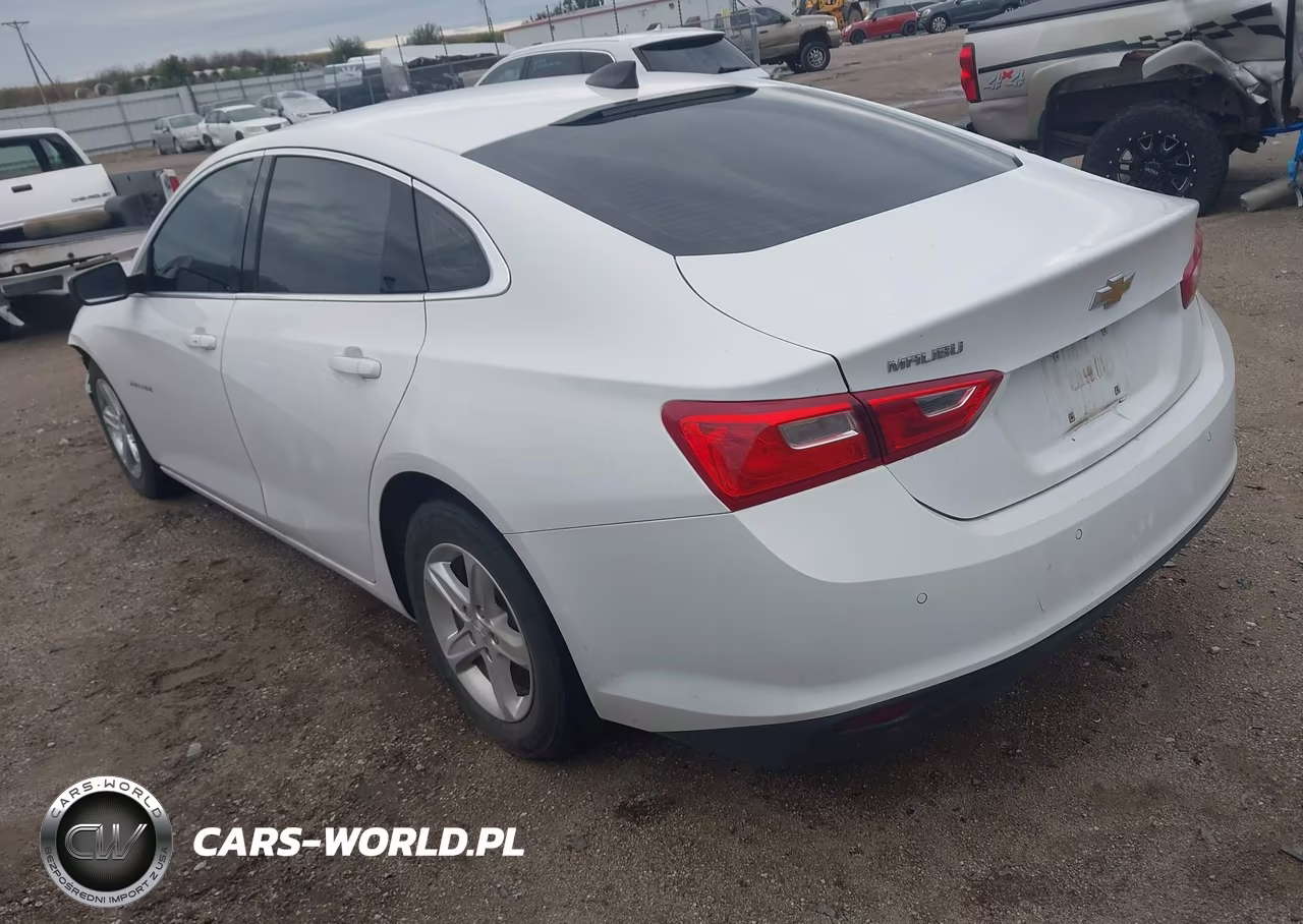 2020 Chevrolet Malibu Fwd 1Fl VIN:1G1ZC5ST8LF142545 - 3