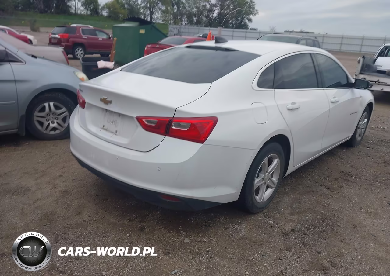 2020 Chevrolet Malibu Fwd 1Fl VIN:1G1ZC5ST8LF142545 - 4