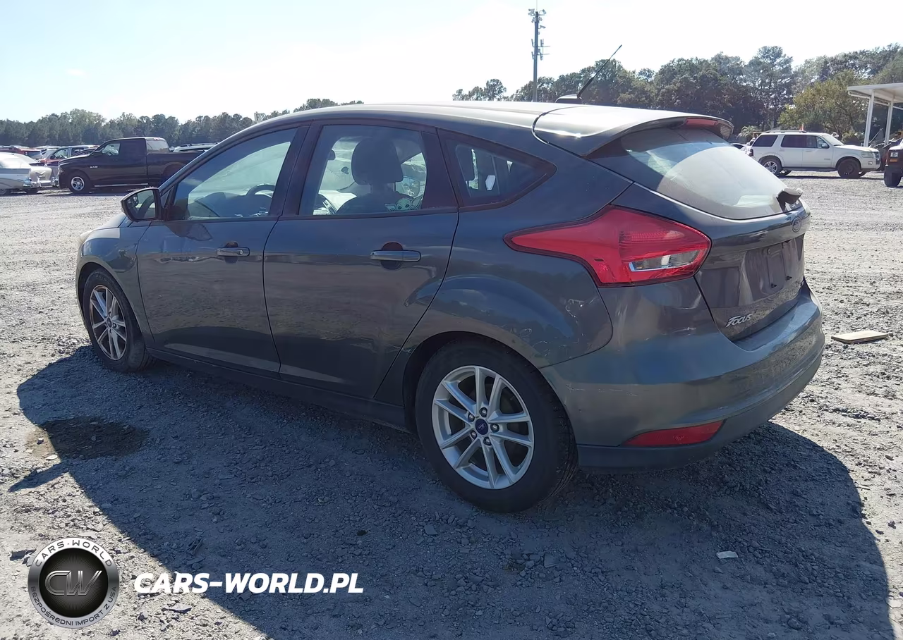 2016 Ford Focus Se VIN:1FADP3K26GL369988 - 3