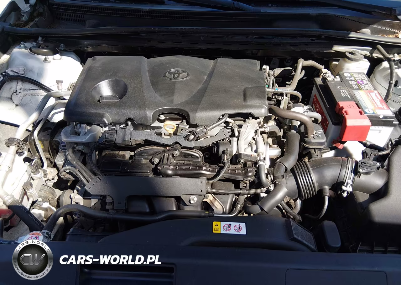 2020 Toyota Camry Le VIN:4T1C11AK9LU333225 - 10