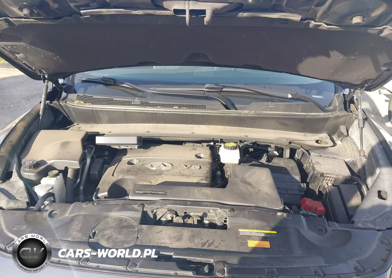 2014 Infiniti Qx60 VIN:5N1AL0MM6EC534095 - 10