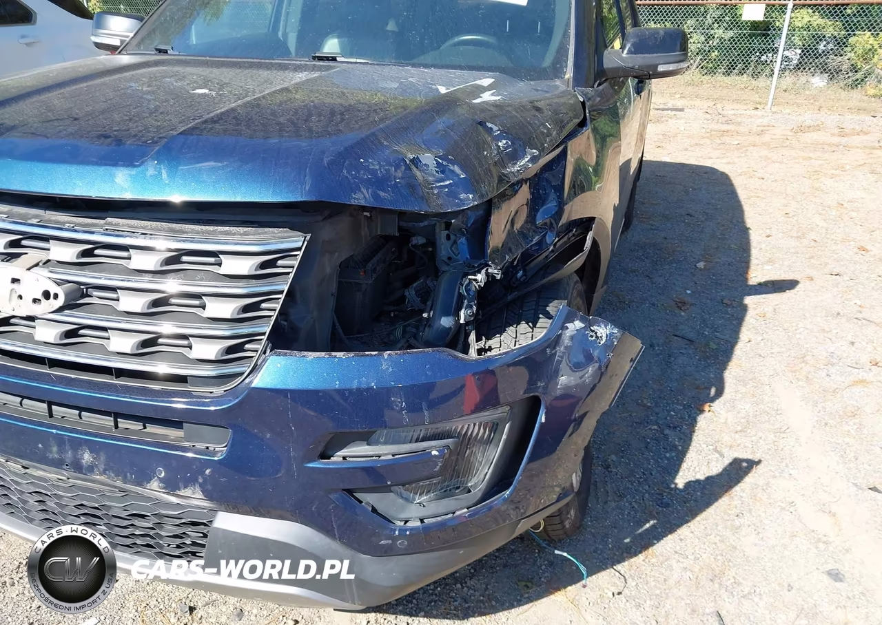 2017 Ford Explorer Xlt VIN:1FM5K8D87HGA46230 - 19