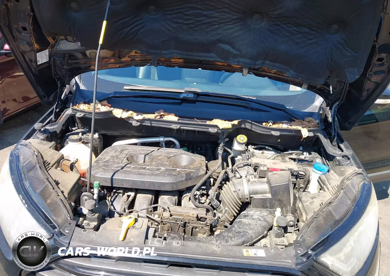 2020 Ford Ecosport Ses VIN:MAJ6S3JL6LC358372 - 10