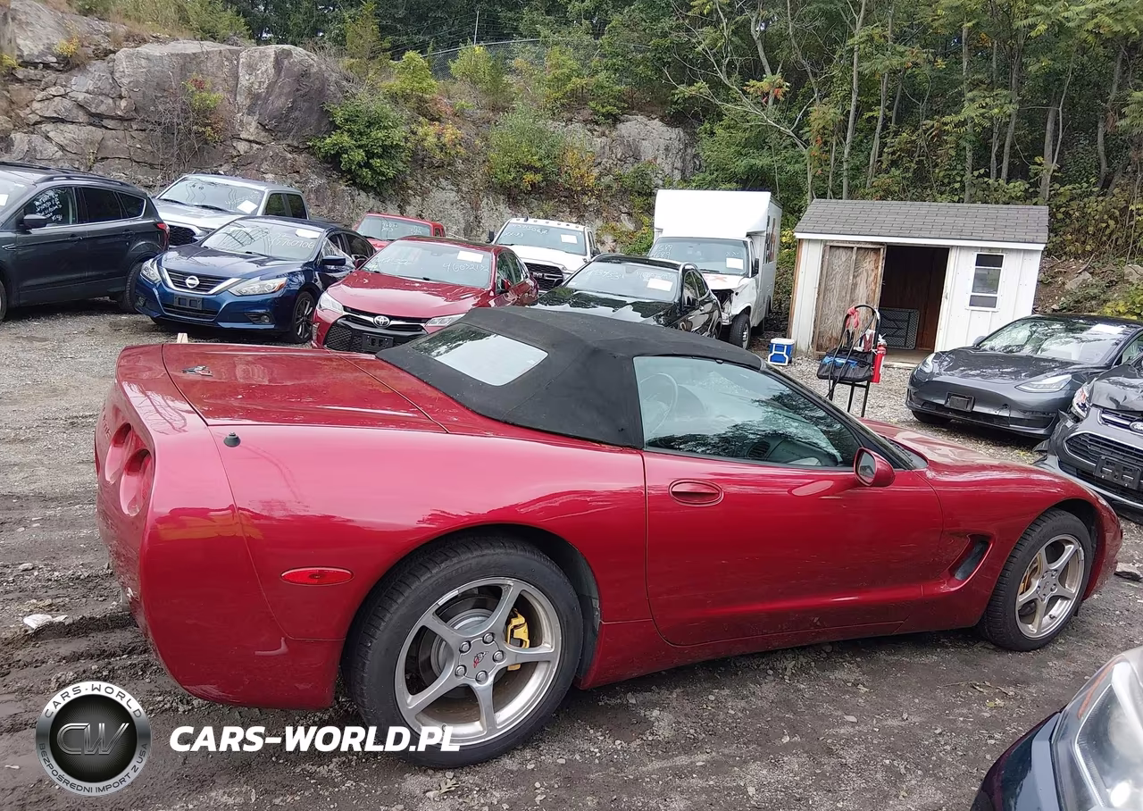 2000 Chevrolet Corvette VIN:1G1YY32G3Y5116503 - 13