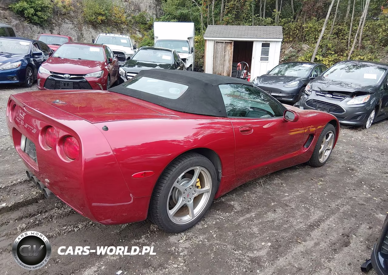 2000 Chevrolet Corvette VIN:1G1YY32G3Y5116503 - 4