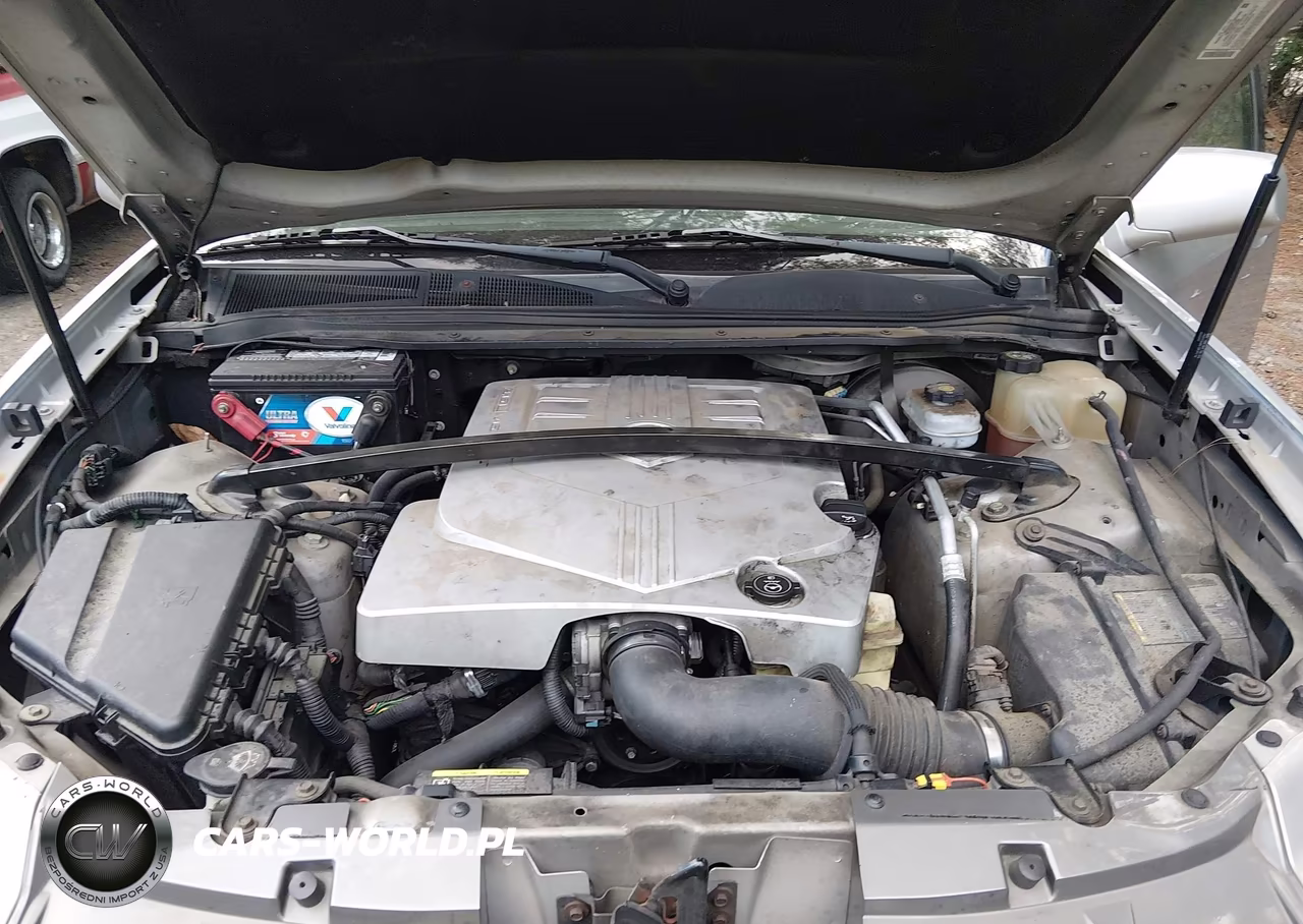 2005 Cadillac Srx V6 VIN:1GYEE637950108489 - 10