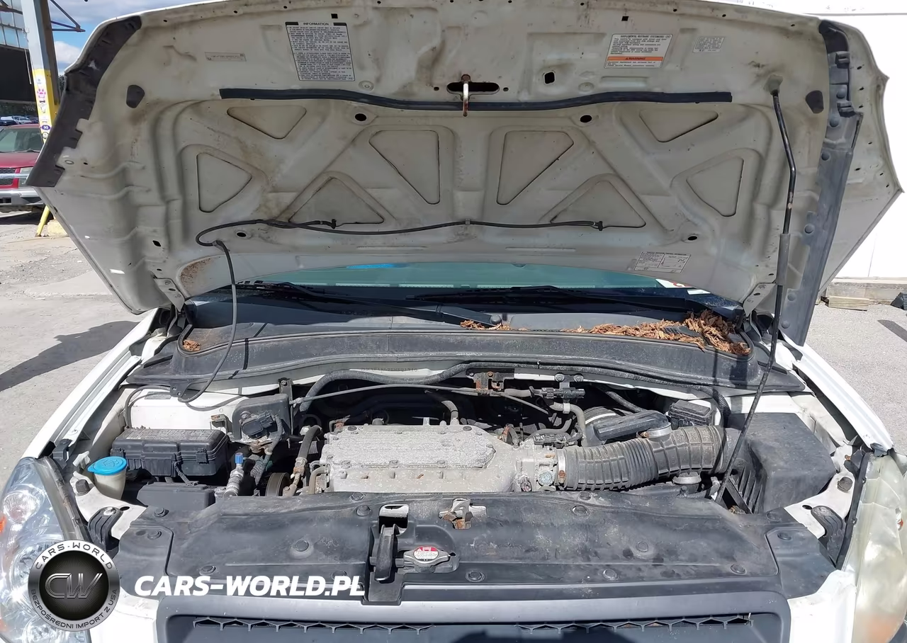 2005 Honda Pilot Ex-L VIN:2HKYF18525H521710 - 10