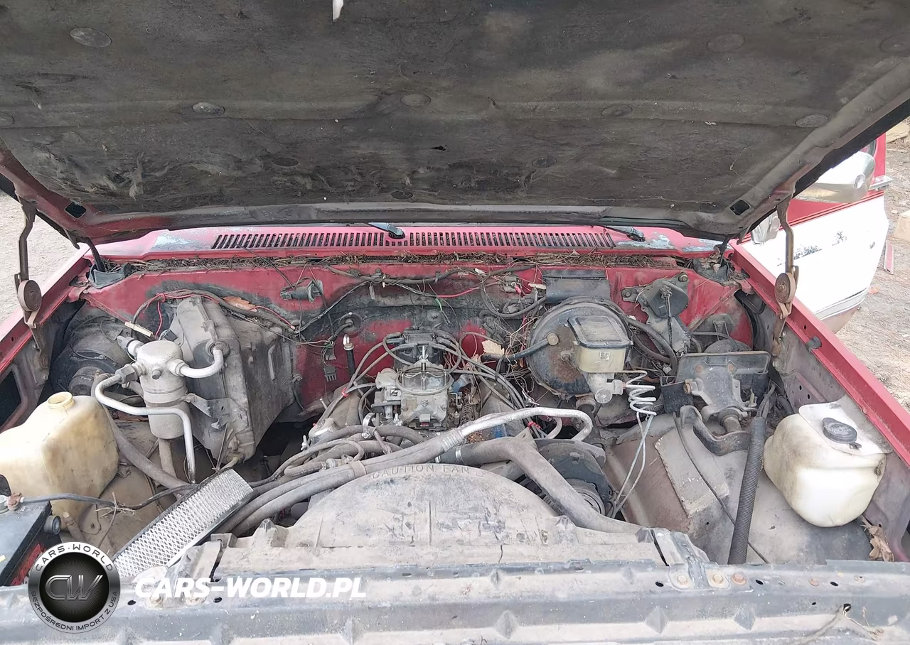 1986 Chevrolet C10 VIN:1GCDC14H3GF385768 - 10