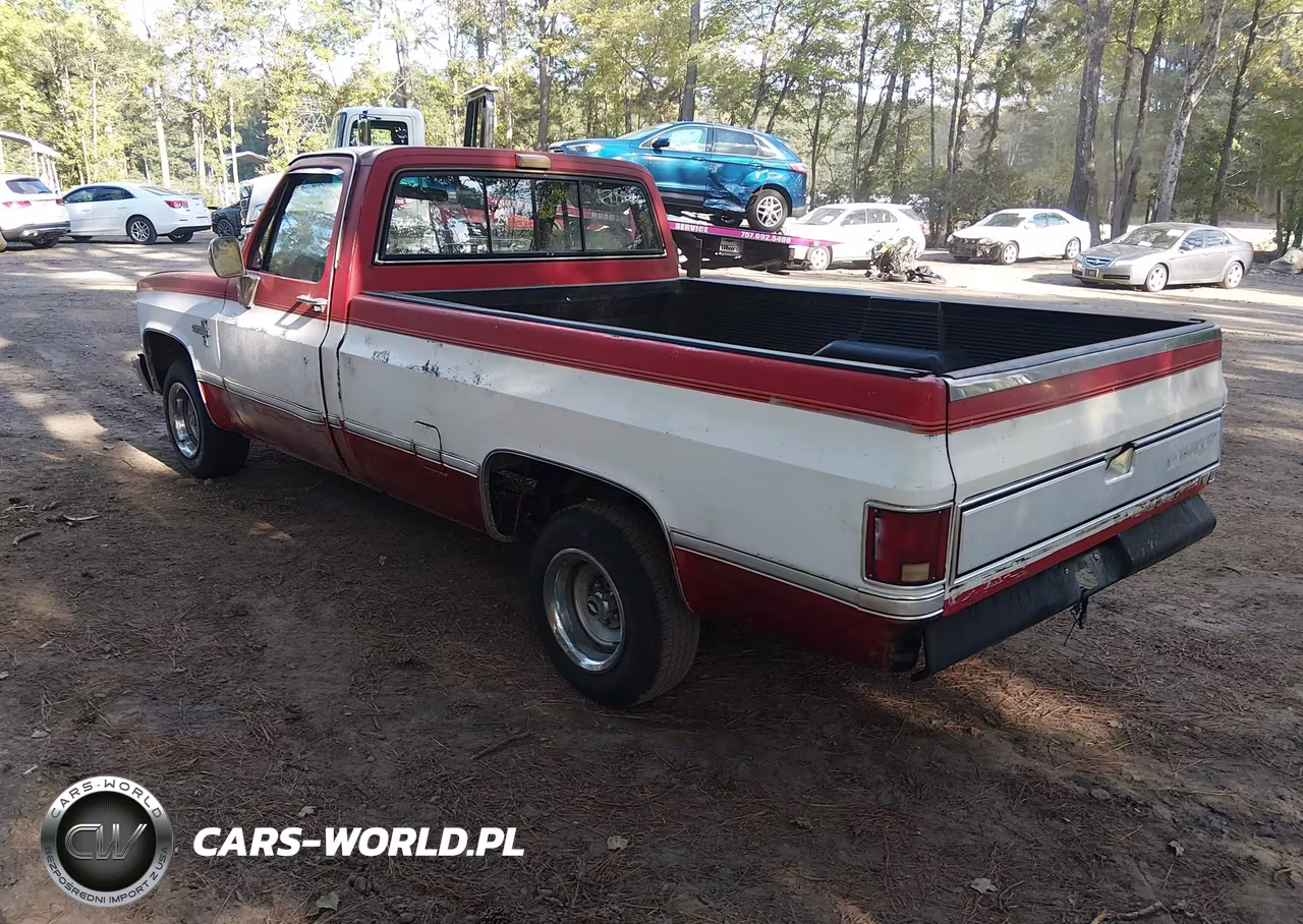 1986 Chevrolet C10 VIN:1GCDC14H3GF385768 - 3