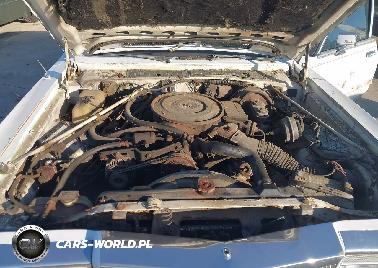 1988 Chrysler Fifth Avenue VIN:1C3BF66P2JW152928 - 10