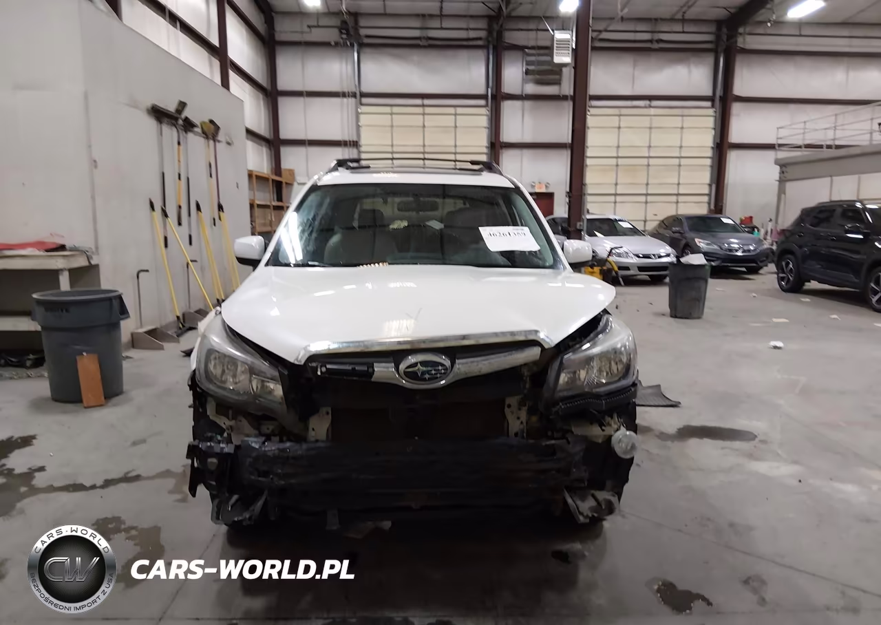 2017 Subaru Forester 2.5I Limited VIN:JF2SJAJC1HH565442 - 13