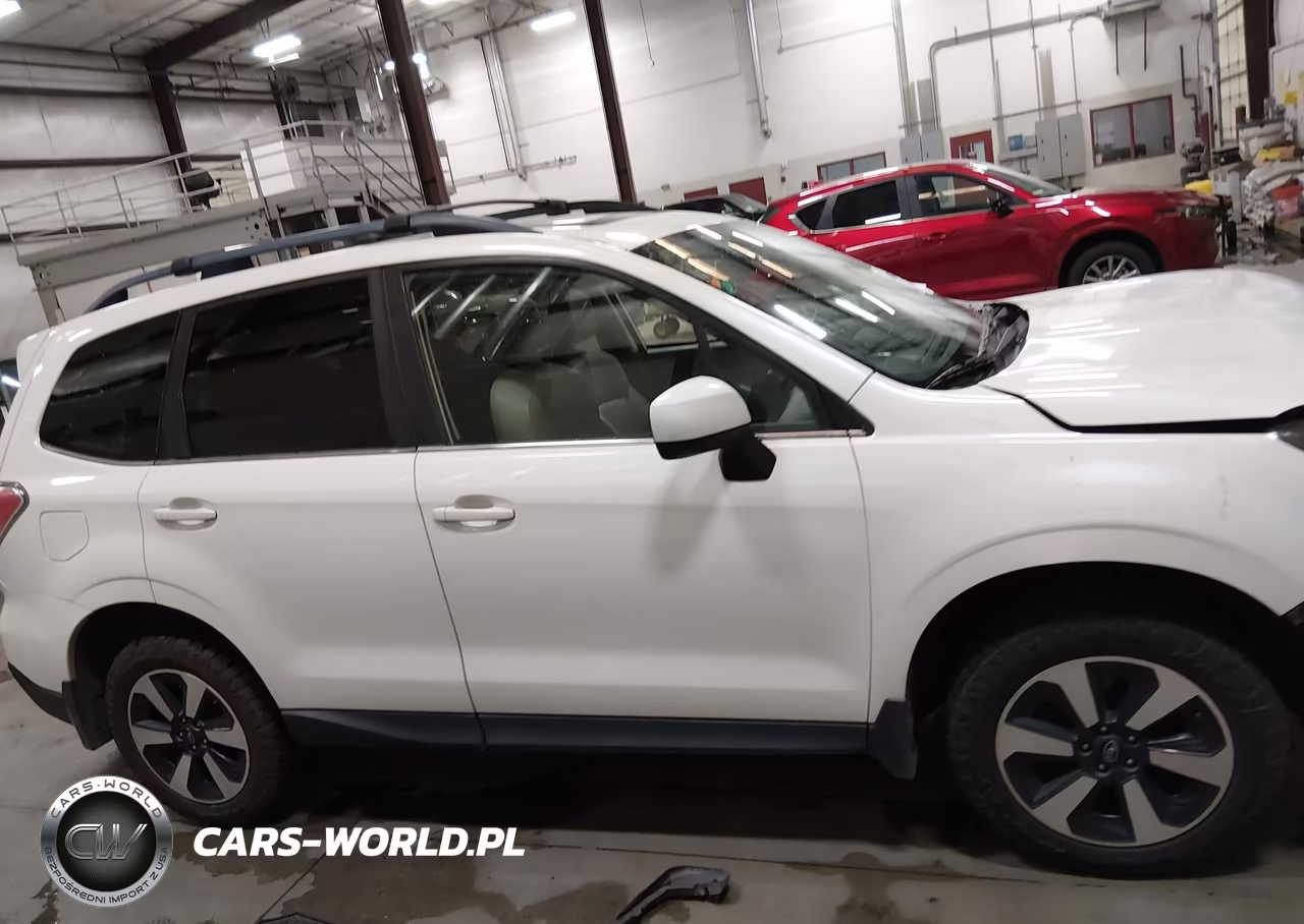 2017 Subaru Forester 2.5I Limited VIN:JF2SJAJC1HH565442 - 14