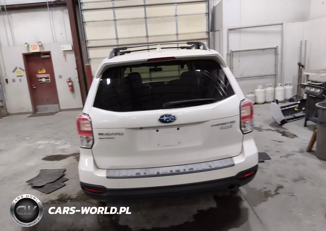 2017 Subaru Forester 2.5I Limited VIN:JF2SJAJC1HH565442 - 17