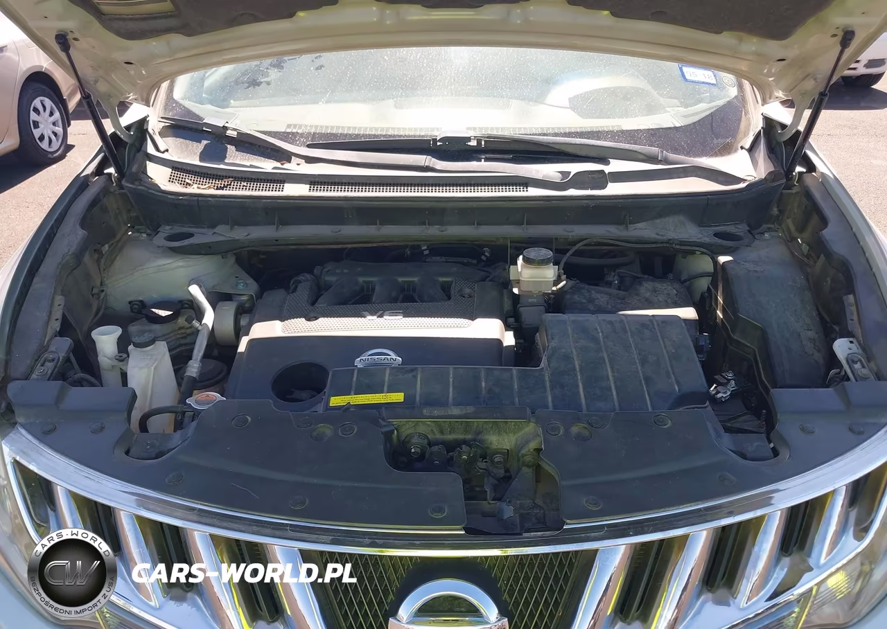 2010 Nissan Murano S VIN:JN8AZ1MU4AW016346 - 10