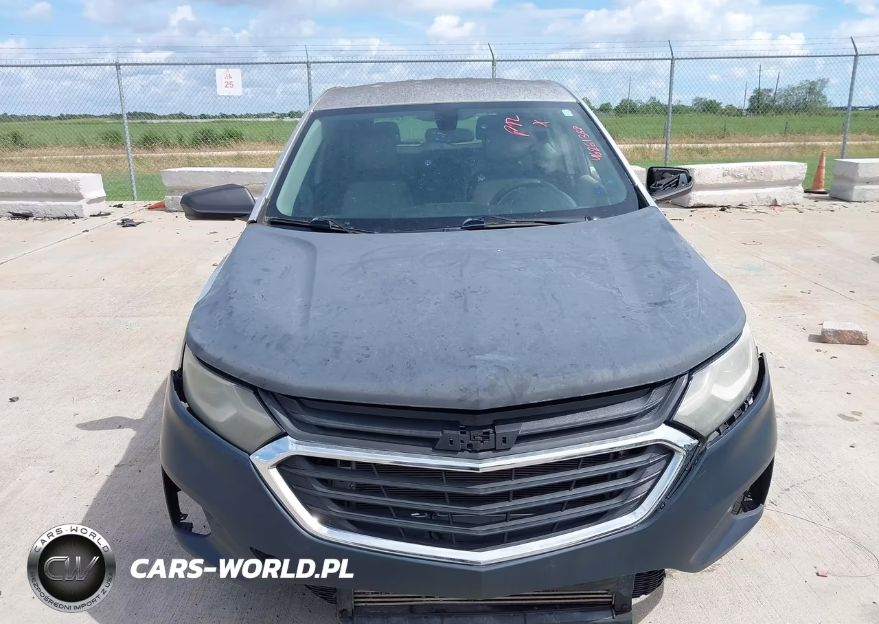 2019 Chevrolet Equinox Ls VIN:3GNAXHEV4KS646177 - 12