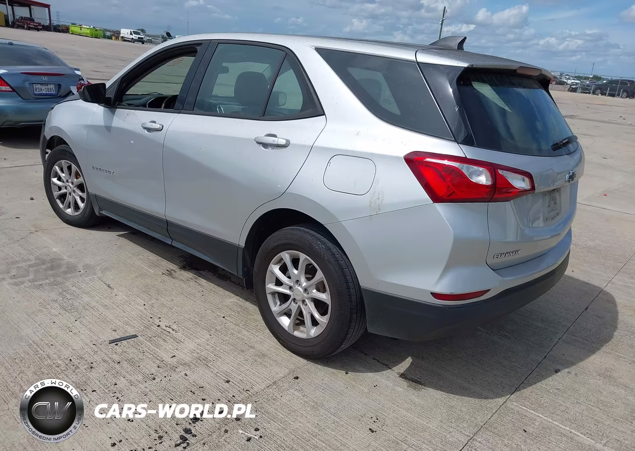 2019 Chevrolet Equinox Ls VIN:3GNAXHEV4KS646177 - 3