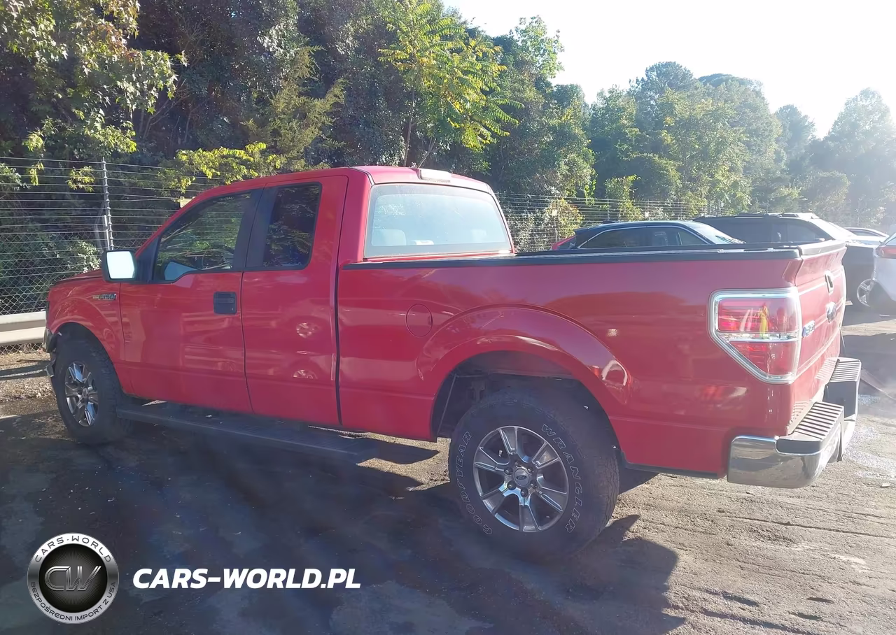 2009 Ford F-150 Stx-Xl VIN:1FTRX12WX9FB10204 - 15
