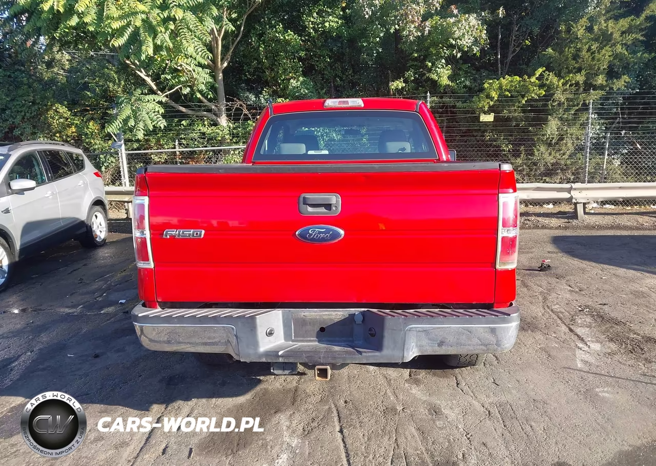 2009 Ford F-150 Stx-Xl VIN:1FTRX12WX9FB10204 - 17